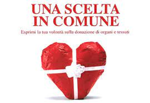 Una scelta in Comune